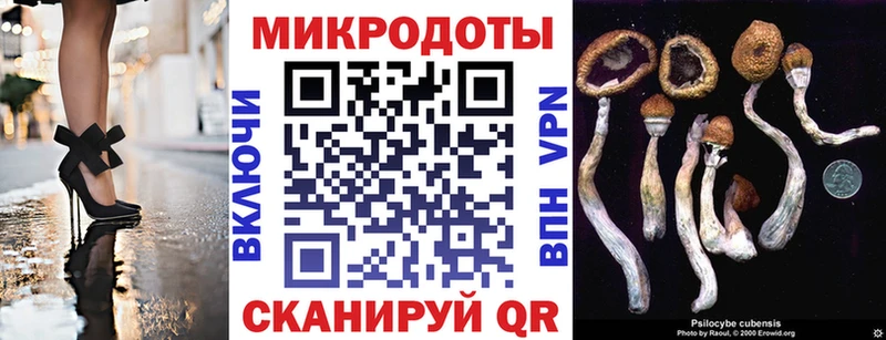 Псилоцибиновые грибы мицелий  Приморско-Ахтарск 